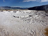 Yellowstone Mammoth Hotsprings (56).JPG